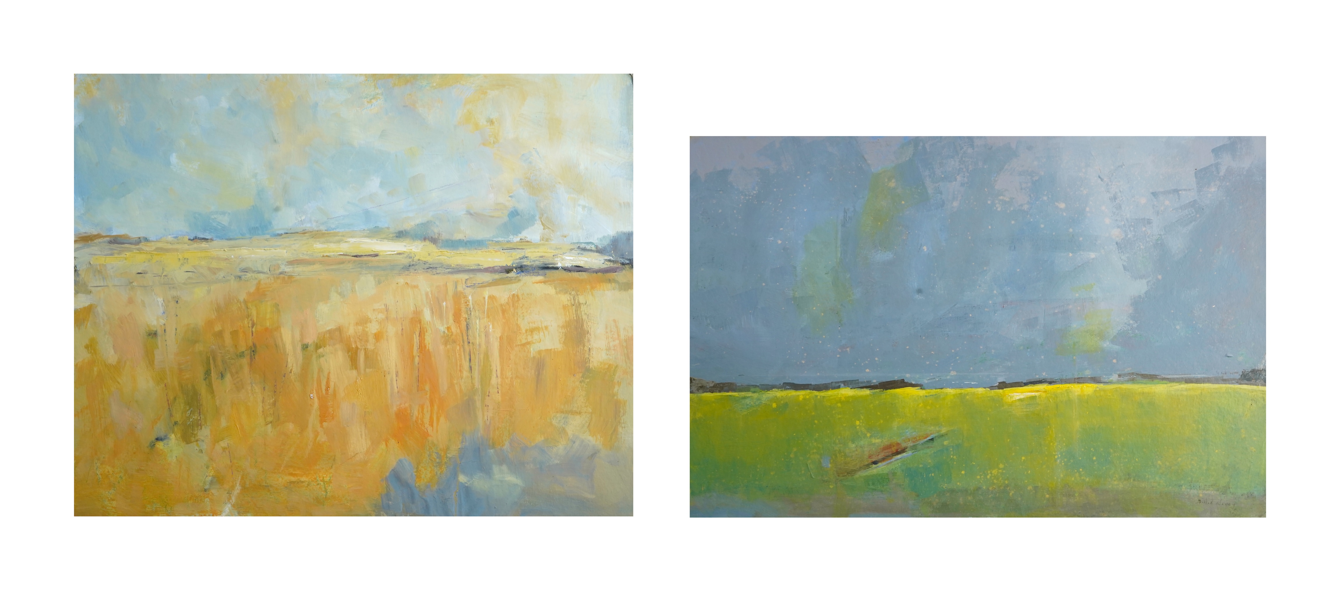 Billie Newey (contemporary), Abstract landscapes, two oils on board, unsigned, unframed, largest 61 x 75cm